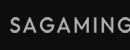 SA Gaming